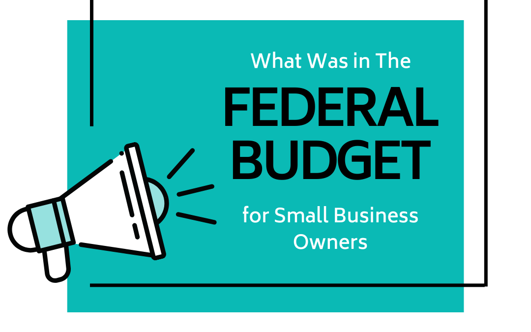 What was in the 2024 Federal Budget for Small Business?